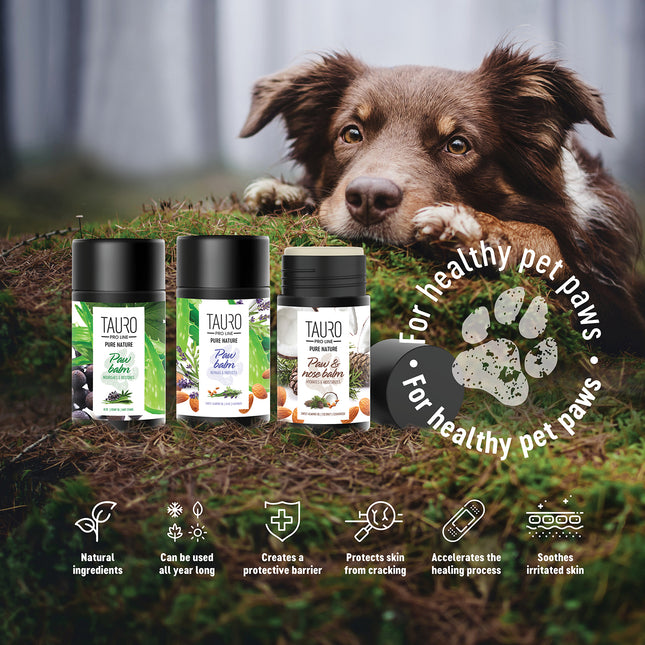 TAURO PRO LINE – Pure Nature | Paw Balm Repairs & Protects – Pfotenbalsam für Hunde & Katzen - 75 ml