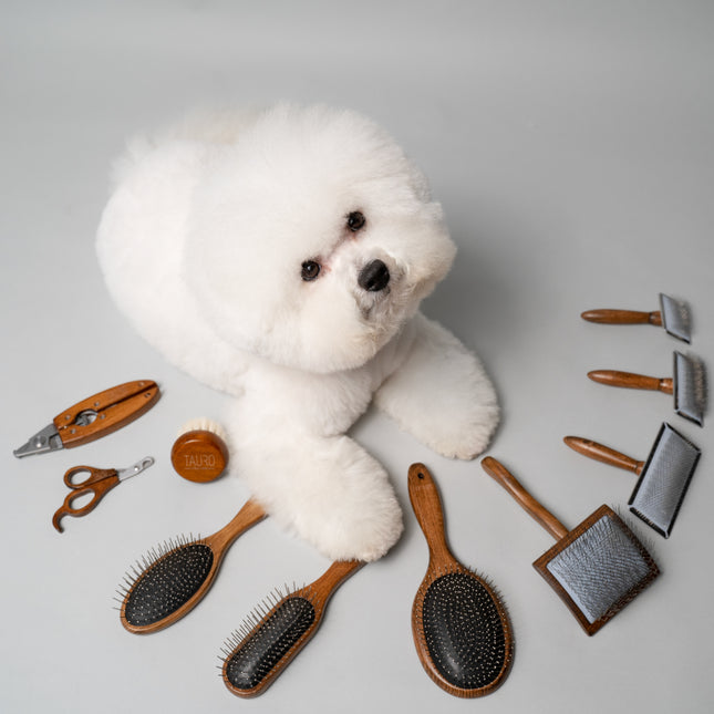 LIGNE TAURO PRO – Prestige | Ciseaux à griffes en bois – pour petits animaux, ergonomiques et précis