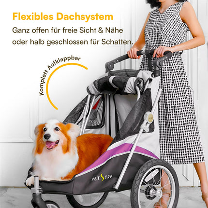 Petstro Stroller JetPro - Hundebuggy bis 30kg - Lila