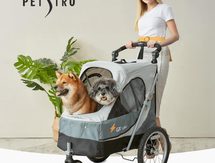 <h4><span style="text-decoration:underline"><strong>Petstro Hundebuggys</strong></span></h4><h1>Sicher & komfortabel unterwegs, für dich und deinen Hund!</h1>