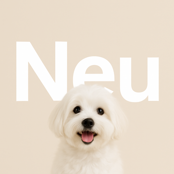 Ein fröhlicher Coton de Tuléar mit weißem, flauschigem Fell schaut durch den Buchstaben ‚U‘ im groß geschriebenen Wort ‚Neu‘ auf beigem Hintergrund – ein einladendes Bild für neue Hundeprodukte