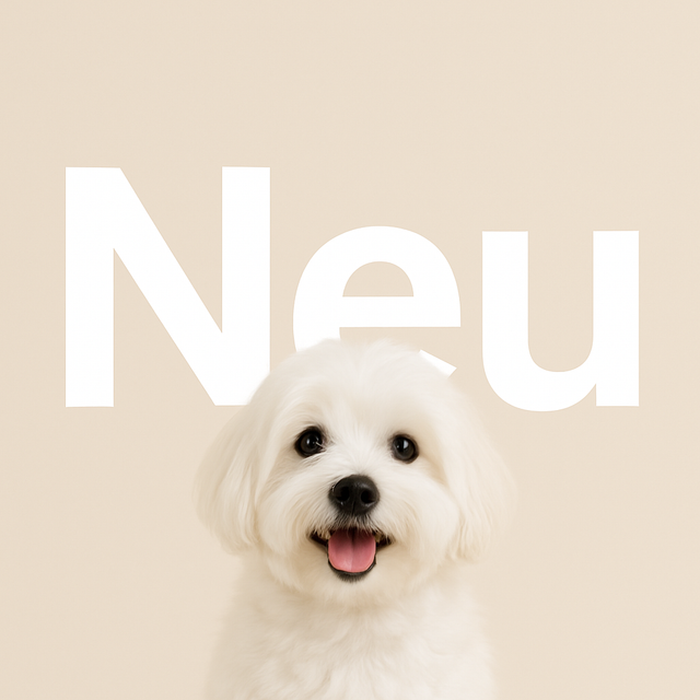 Ein fröhlicher Coton de Tuléar mit weißem, flauschigem Fell schaut durch den Buchstaben ‚U‘ im groß geschriebenen Wort ‚Neu‘ auf beigem Hintergrund – ein einladendes Bild für neue Hundeprodukte