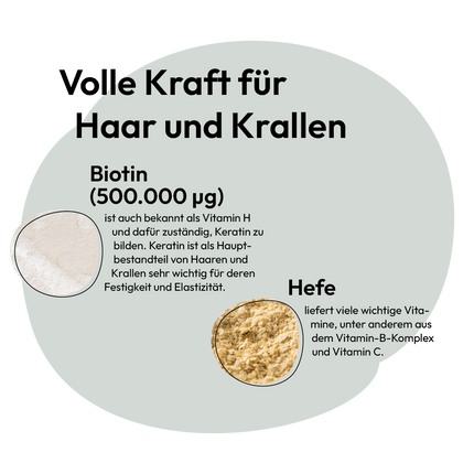 Gray | Biotin Forte Tablets for Dogs &amp; Cats - Strengthens Coat &amp; Claws