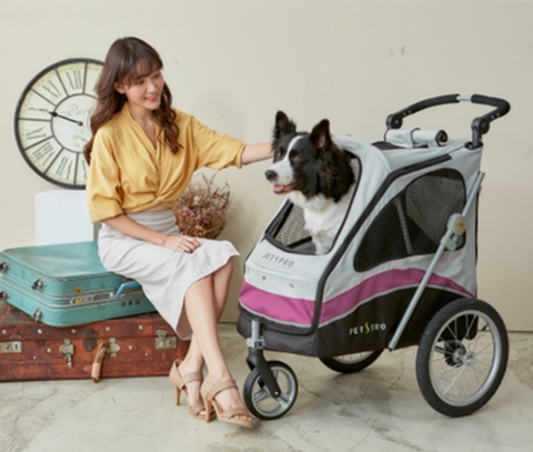 PETSTRO Stroller | JETPRO Journey 706GX