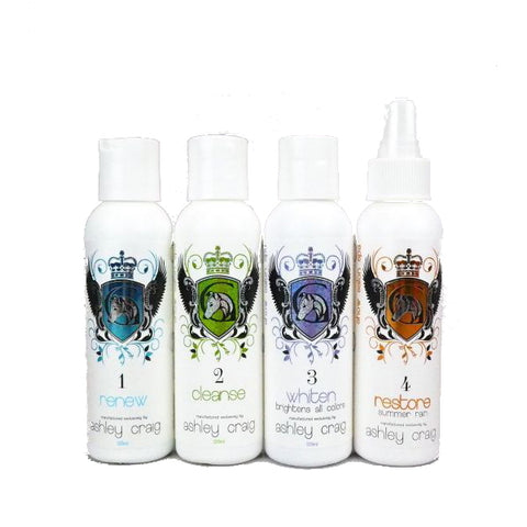 ASHLEY CRAIG SHOW SALON SPA Travel Set 4 x 125ml