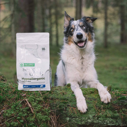 Nature's Protection, Superior Care - Grain-Free Dog Food with Salmon - Adult Dogs, All Breeds, Hypoallergenic