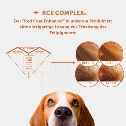 Nature's Protection, Superior Care - Grain-Free Dog Food with Lamb - Adult Dogs, Small Breeds, Red Coat