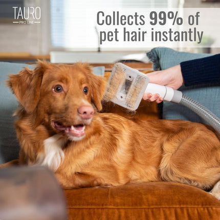 TAURO PRO LINE 7in1 pet grooming kit with pet hair vacuum, EU plug