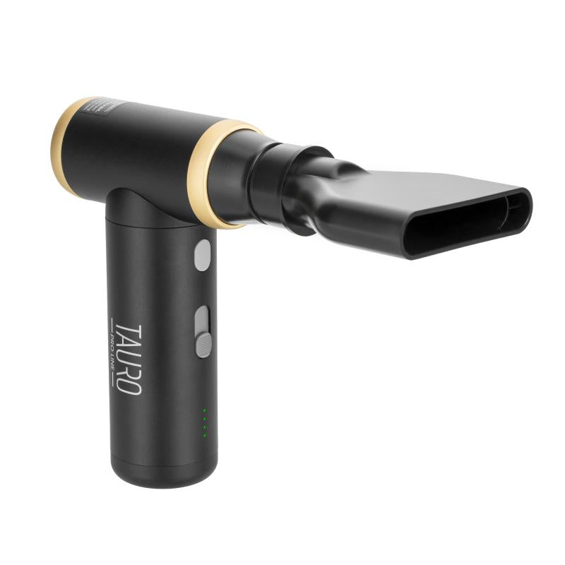 Tauro Pro Line, Cordless Mini Hair Dryer – Black, Lightweight & Powerful, Incl. 3 Attachments, USB-C