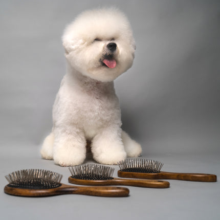 TAURO PRO LINE Brush massage, wooden