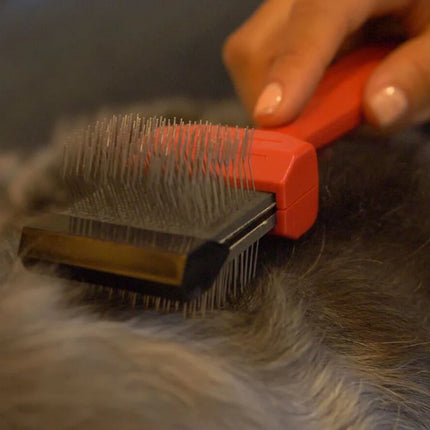 LES POOCHS - Brosse Rouge / Extrêmement ferme - Brosse spéciale pour défaire les nœuds et le feutre - Simple 9 cm