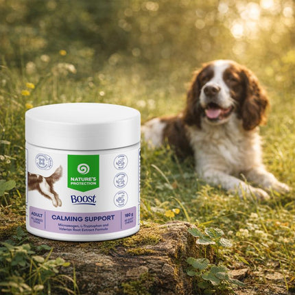 Nature's Protection, Boost Calming Support - Soft Chews Nahrungsergänzung zur Unterstützung des Nervensystems bei ausgewachsenen Hunden aller Rassen