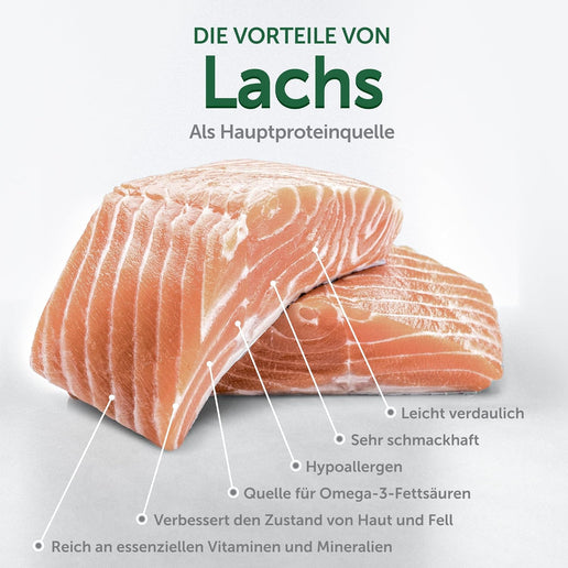 Nature's Protection, Superior Care - Getreidefreies Hundefutter mit Lachs – Junior Hunde, kleine Rassen, rotes Fell