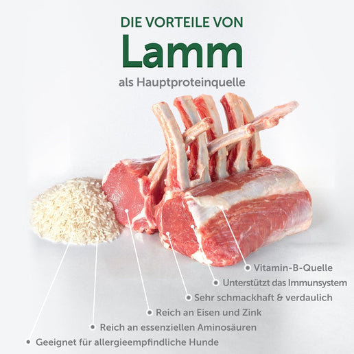 Nature's Protection, Superior Care - Grain-Free Dog Food with Lamb - Adult Dogs, Small Breeds, White Coat