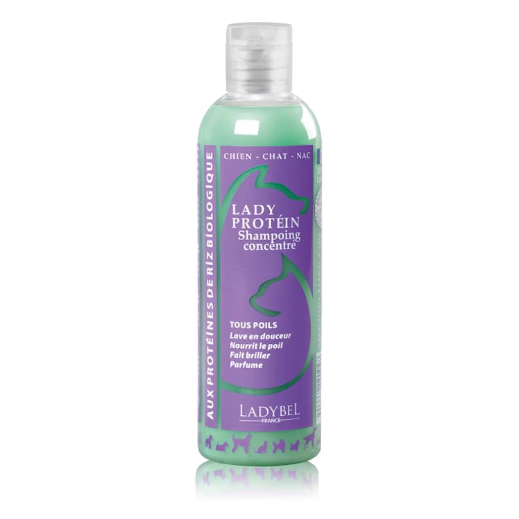 LADYBEL Lady Protein - Shampoing