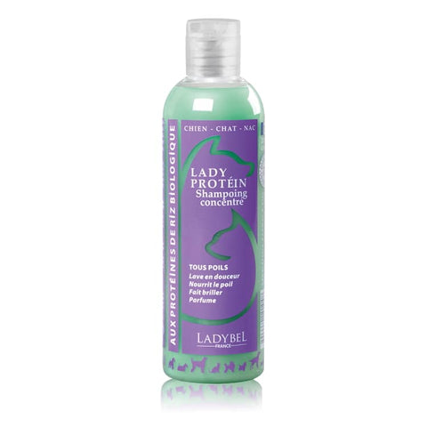 LADYBEL Lady Protein Shampoo