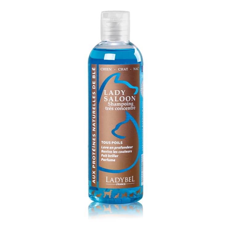 LADYBEL Lady Saloon - Shampoo