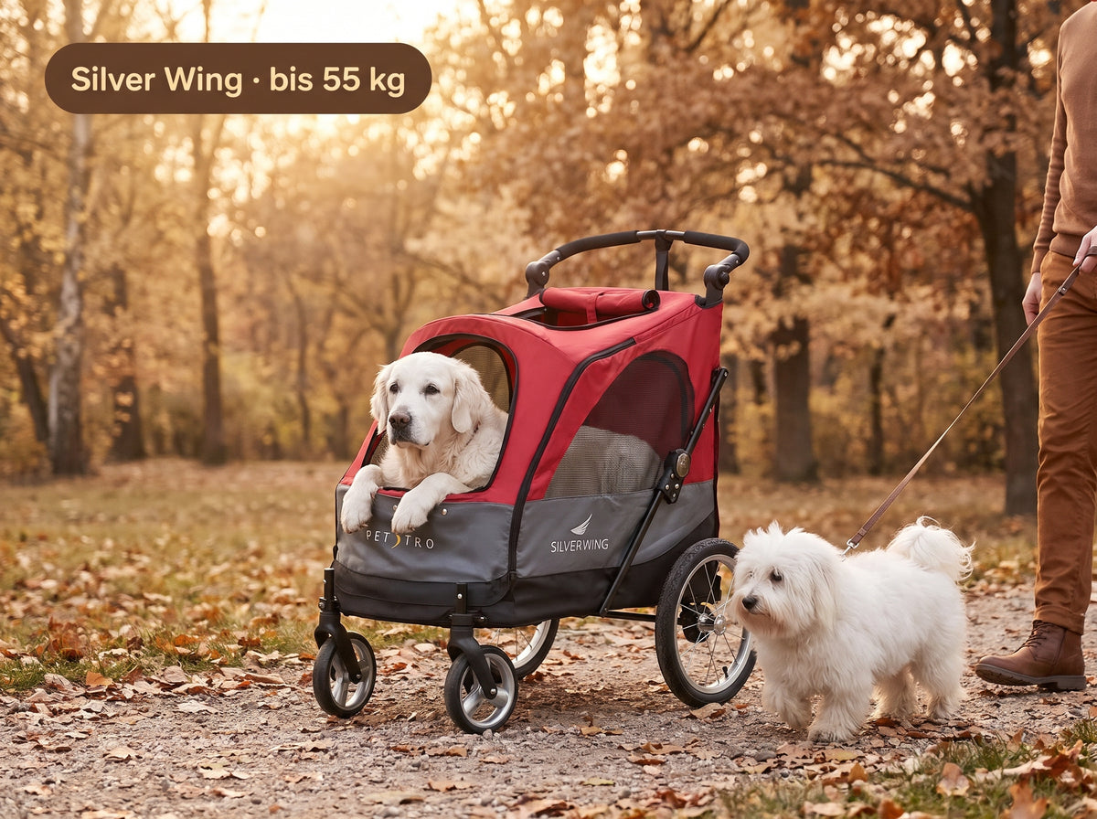 Petstro Silver Wing: Hundebuggy für große Hunde bis 55 kg