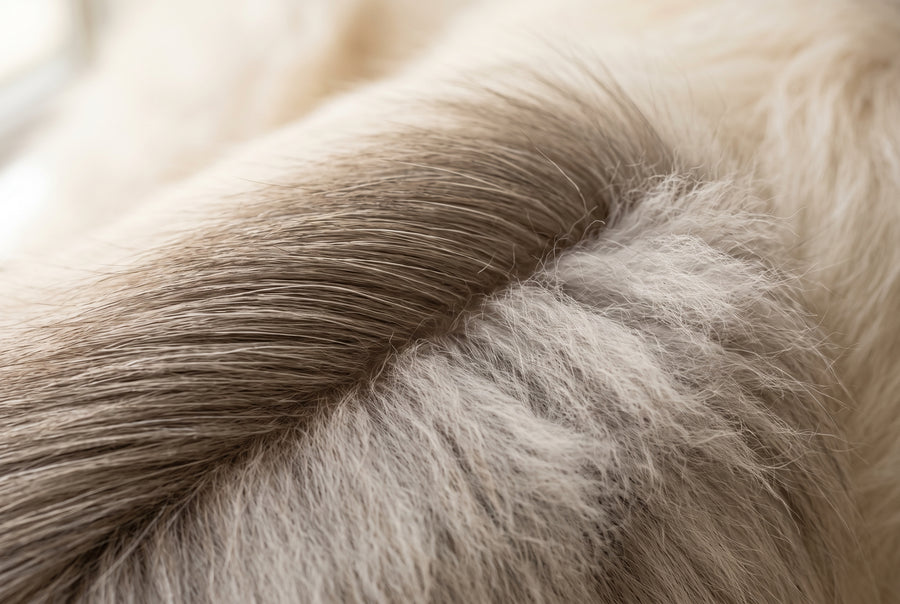 Unterwolle / Double Coat
