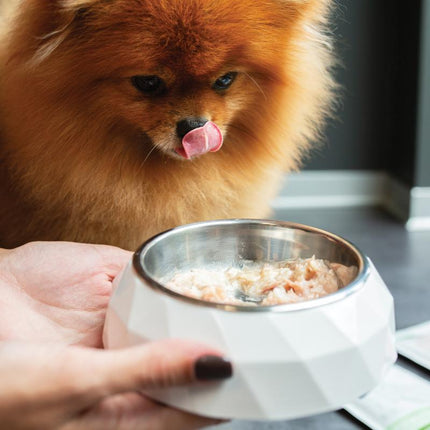 Nature's Protection Superior Care - Nassfutter, Ergänzungsfutter mit Thunfisch für Erwachsene Hunde, Rotes Fell, Alle Rassen, 70 g