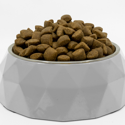 Nature’s Protection Superior Care - Getreidefreies Hundefutter mit Weißfisch, alle Rassen und Lebensphasen, weißes Fell