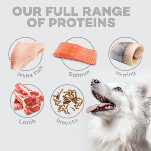 Nature’s Protection, Superior Care - Hundefutter mit Weißfisch und Reis, alle Rassen und Lebensphasen, weißes Fell