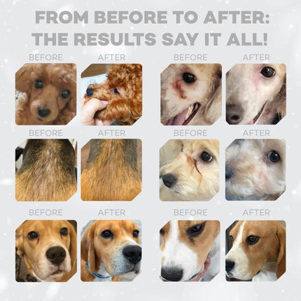 Nature's Protection, Superior Care - Grain-Free Dog Food with Salmon - Adult Dogs, All Breeds, Red Coat